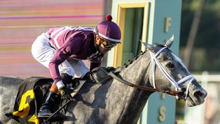 Racing Saturday: Sweet Azteca Returns taken Los Alamitos Race Couse (Horse Racing). Photo by Benoit Photo
