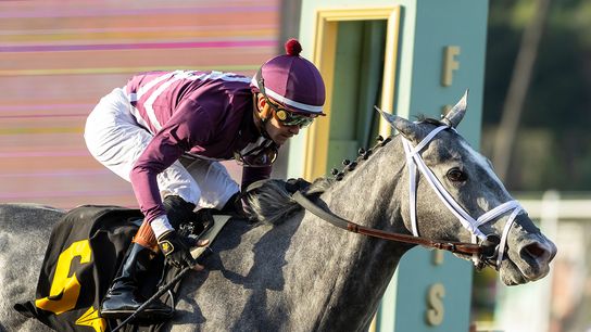 Racing Saturday: Sweet Azteca Returns taken Los Alamitos Race Couse (News). Photo by Benoit Photo