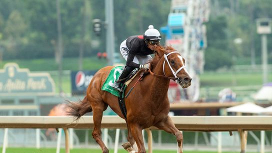 Del Mar's Chosen Vron Stakes honors SoCal great taken at Del Mar  (Horse Racing)