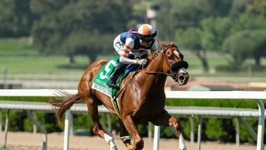 Santa Anita Saturday: Thought Process Returns in Buena Vista (News)