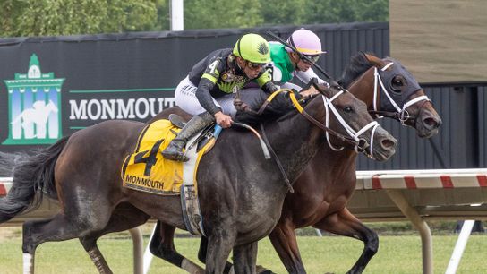 Breeders’ Cup Distaff contenders hitting stretch run for Del Mar taken at Del Mar Racing (Horse Racing)