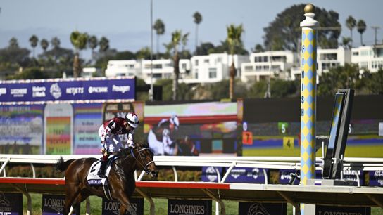 Breeders’ Cup Saturday Has Arrived taken at Del Mar (Horse Racing)