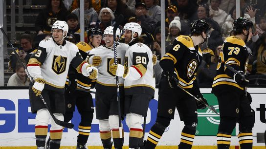 Hertl's late goal seals win for Golden Knights against Bruins taken in Boston (Vegas Golden Knights)