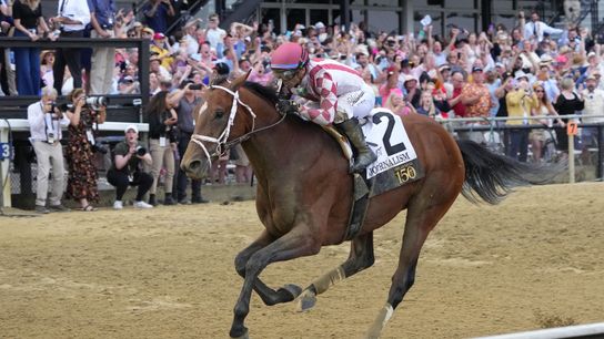 Journalism wins Preakness, sets up Belmont rematch taken at Pimlico Race Course (Horse Racing)