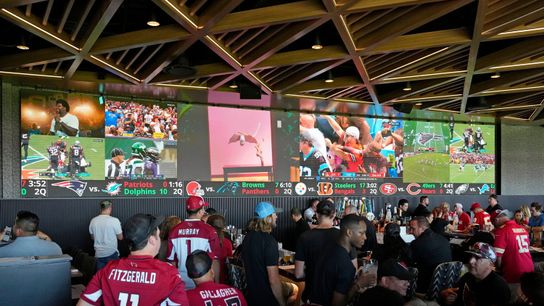 NFL Point Spreads 101: A Beginner's Guide to Betting the NFL taken in Las Vegas (Betting)