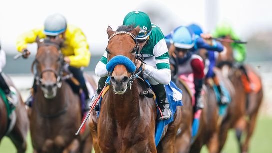 What horse races are worth visiting in Australia? taken in Melbourne  (Equestrian)