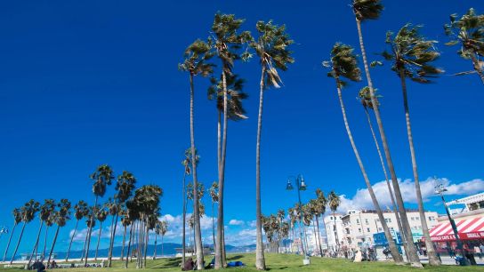 LA28 unveils Venice Beach triathlon courses, setting stage for Games’ first medals taken in Los Angeles (Olympics)